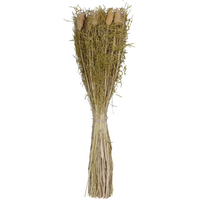 EGLO Trockenblume Caraquet, 50 cm, gelb