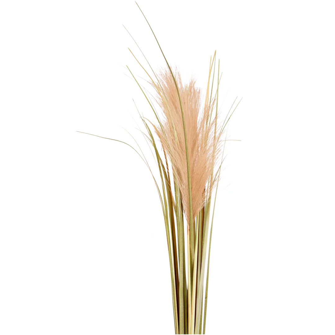 Excellent Flowers kunst pampasgras 78 cm | diverse varianten