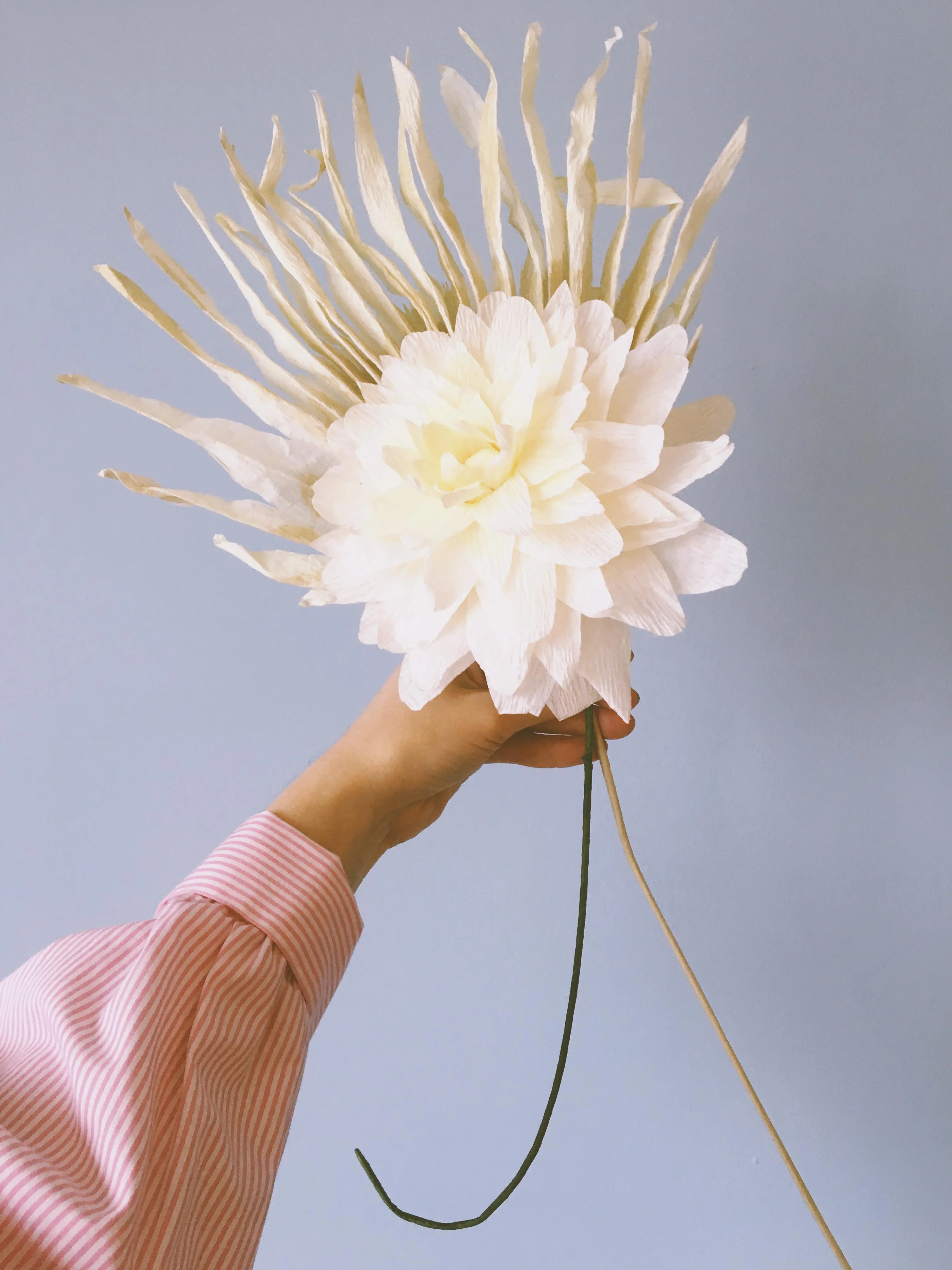 Studio About  Grand Dahlia papirblomst - sand