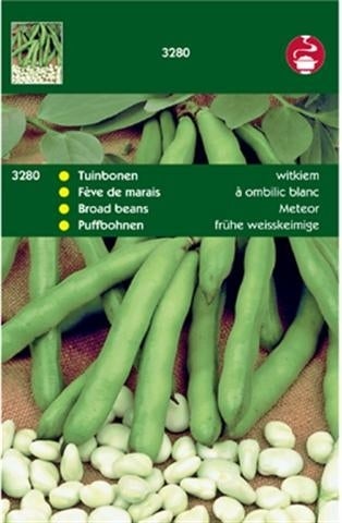 groentezaad Tuinboon (Vicia faba 'Witkiem')
