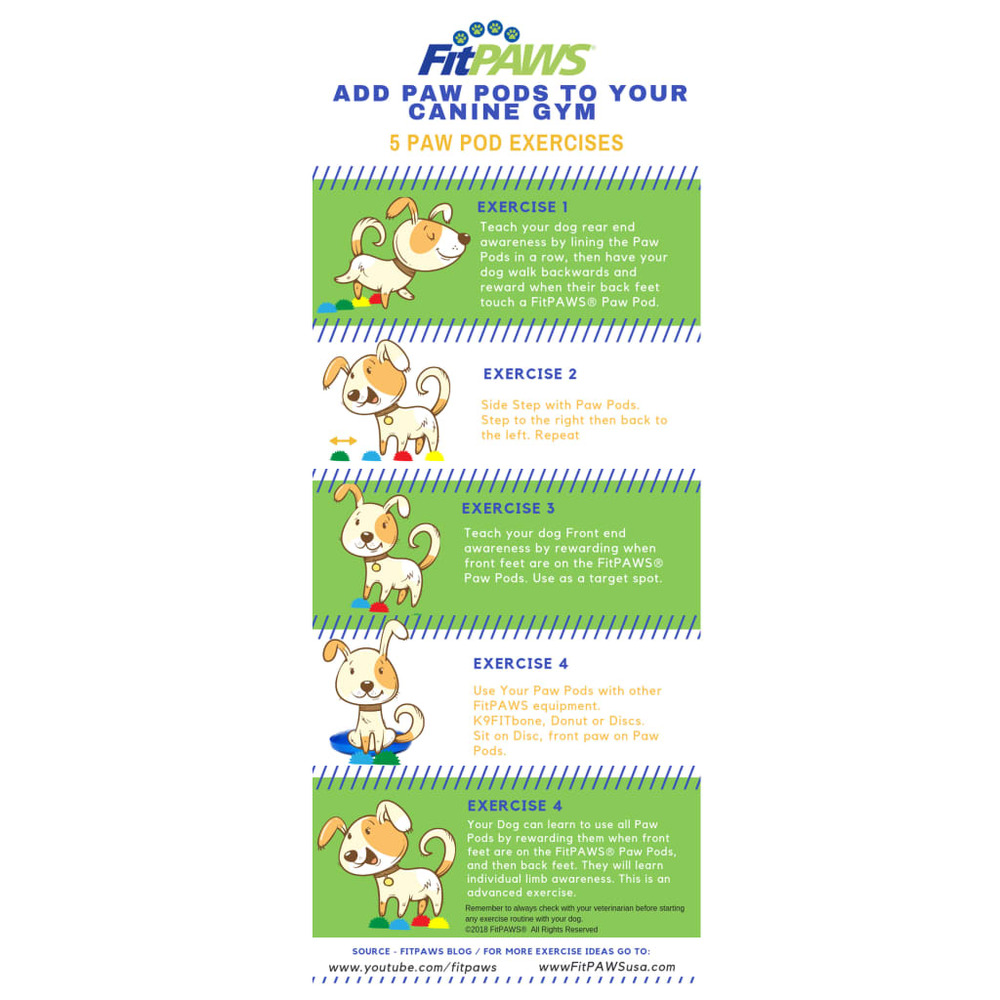 Plots de patte d'équilibre pour animaux de compagnie 4 pcs