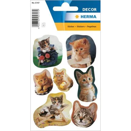HERMA Decor Sticker Fotogene Kätzchen