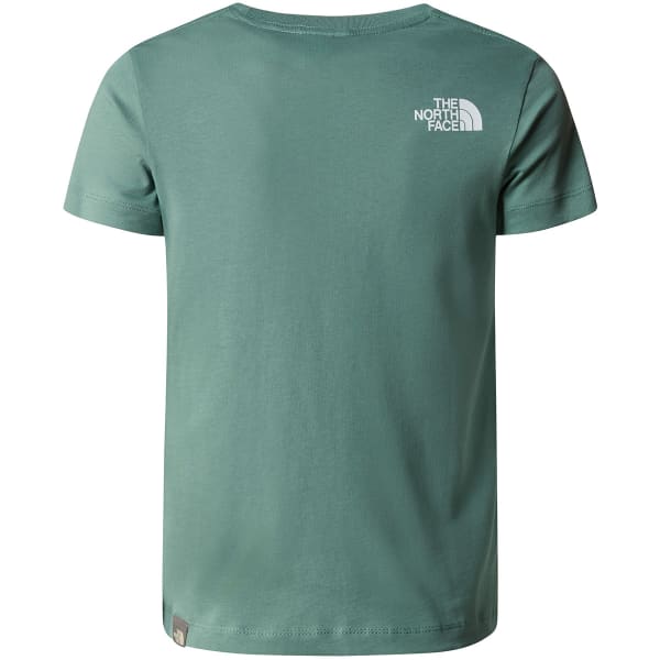 T-shirt THE NORTH FACE B S/S EASY TEE DARK SAGE
