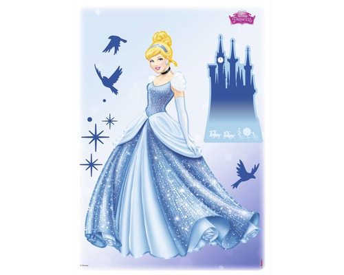 Muursticker Disney Editie 4 PRINCESS DREAM 50 x 70 cm