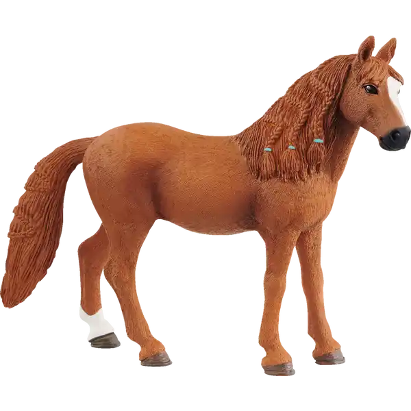 13925 Deutsches Reitpony Stute