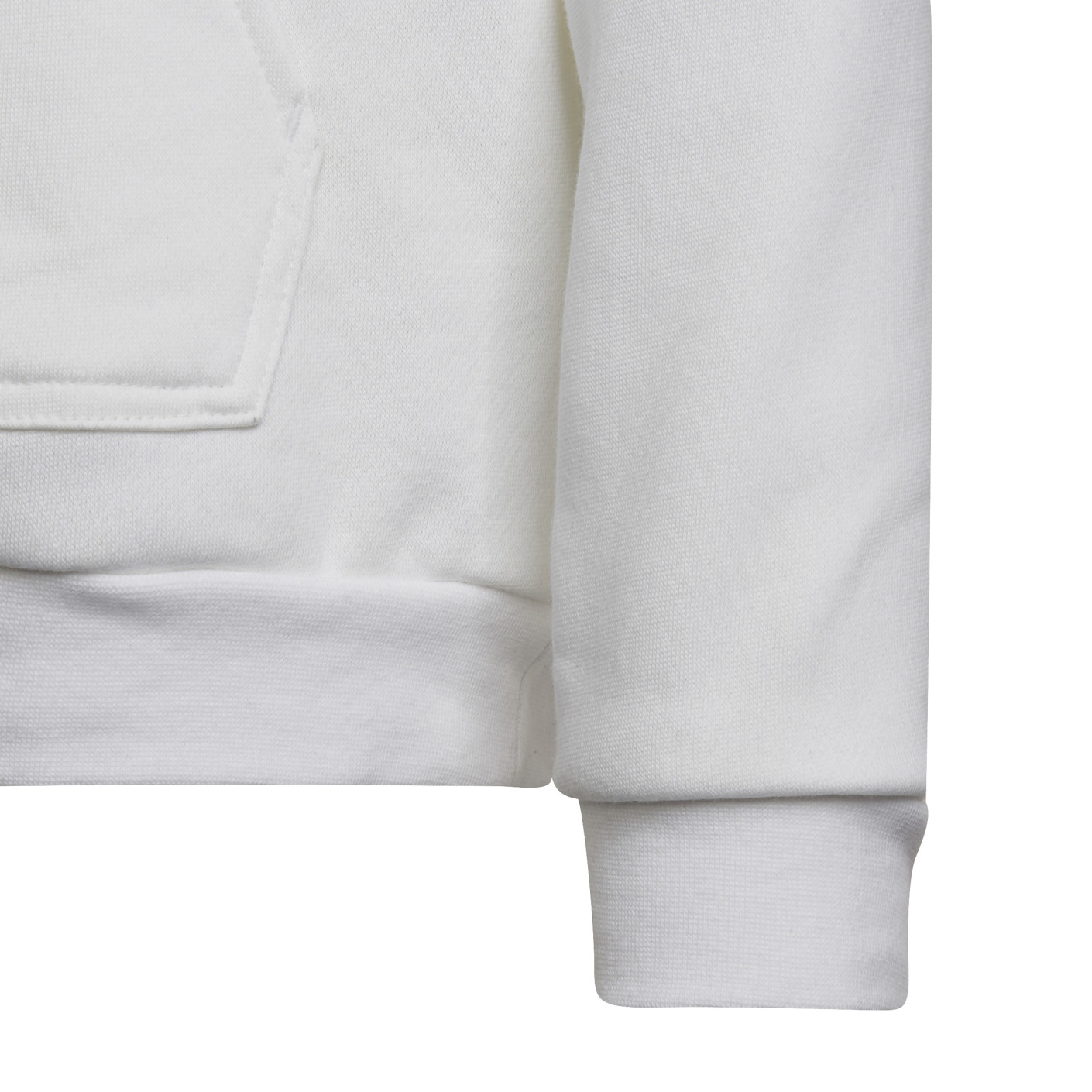 Adidas Entrada 22 Sweat Hoodie Kids Wit Zwart