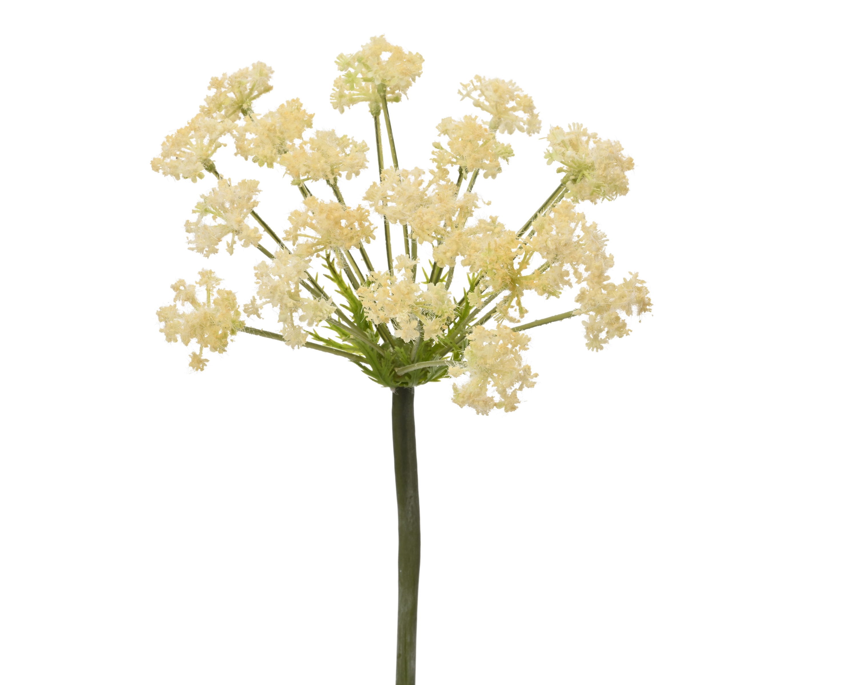 Kunstblume QUEEN Anne