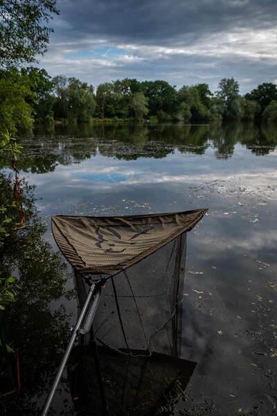 Support d'épuisette Fox Carpmaster Net Safe
