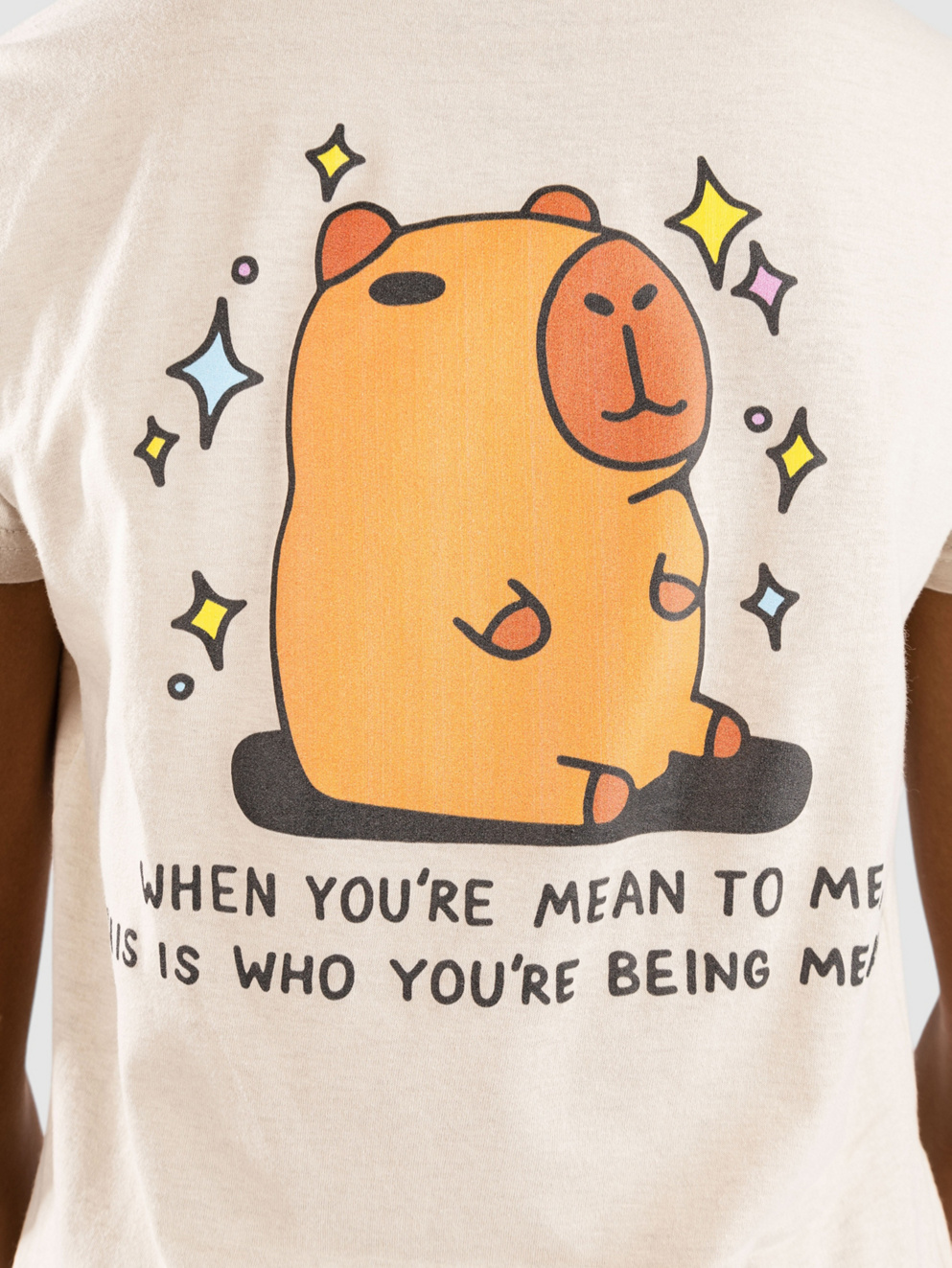 A.LAB Don't Be Mean To Me T-Shirt sand