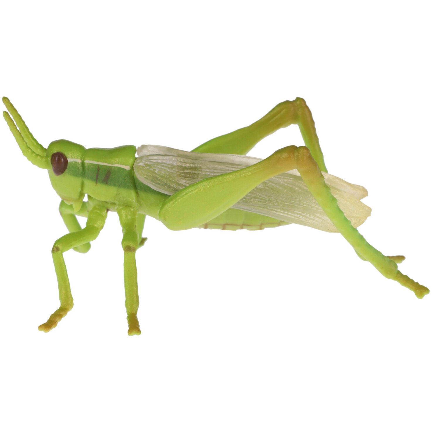 Papo Heuschrecke