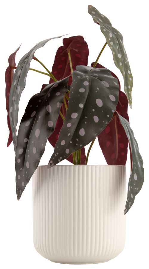 plante artificielle bégonia à pois