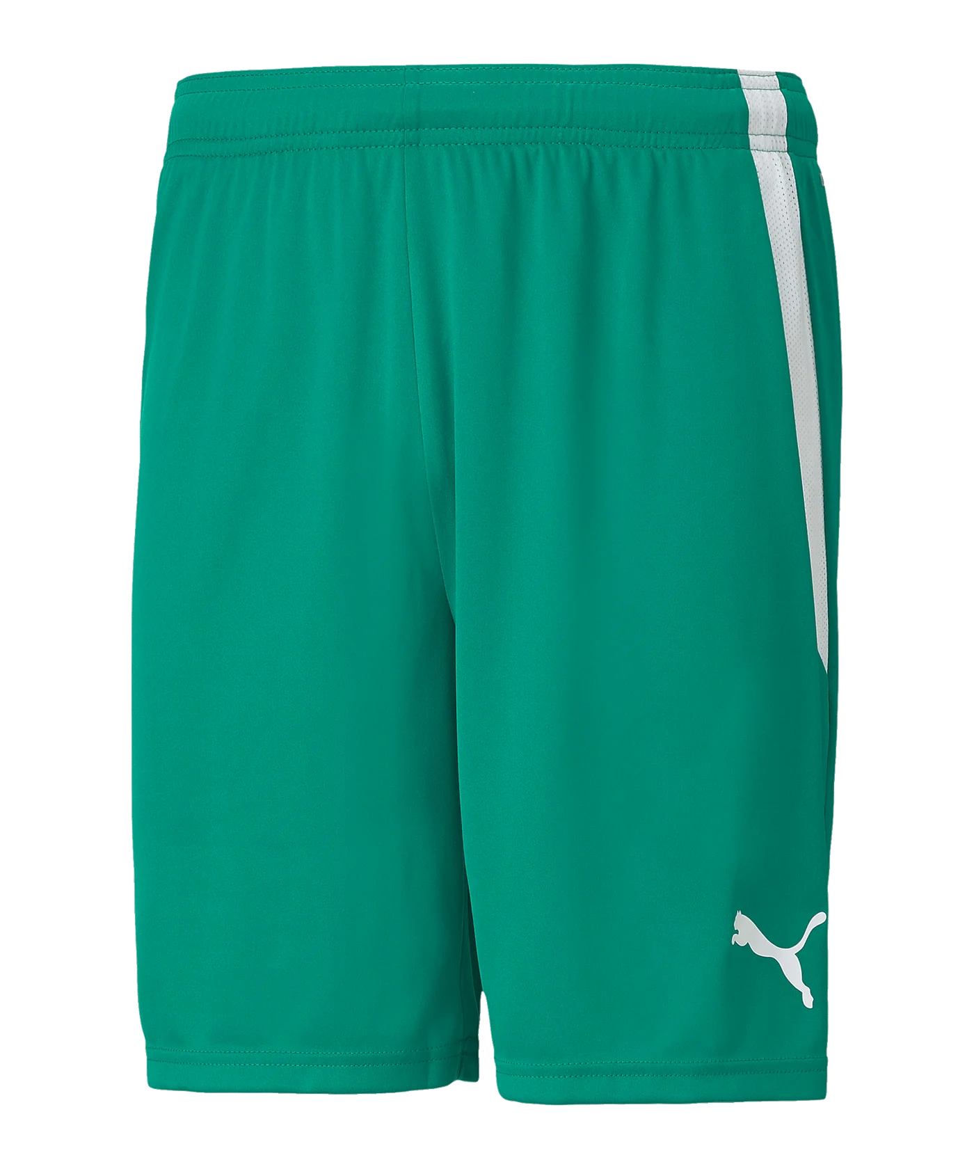 PUMA teamLIGA Short Grün Weiss F05