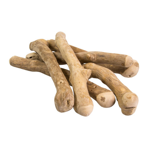Bunny Nature Interactive Coffeewood