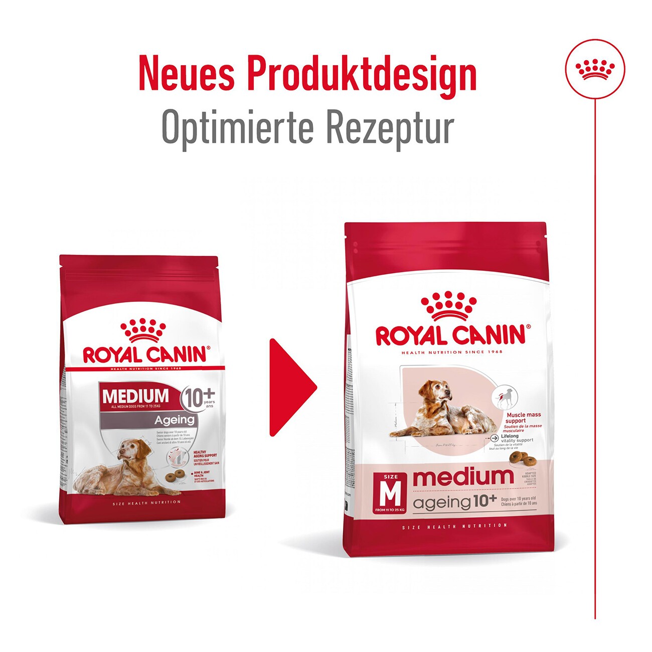 ROYAL CANIN Medium Ageing 10+ 3 kg