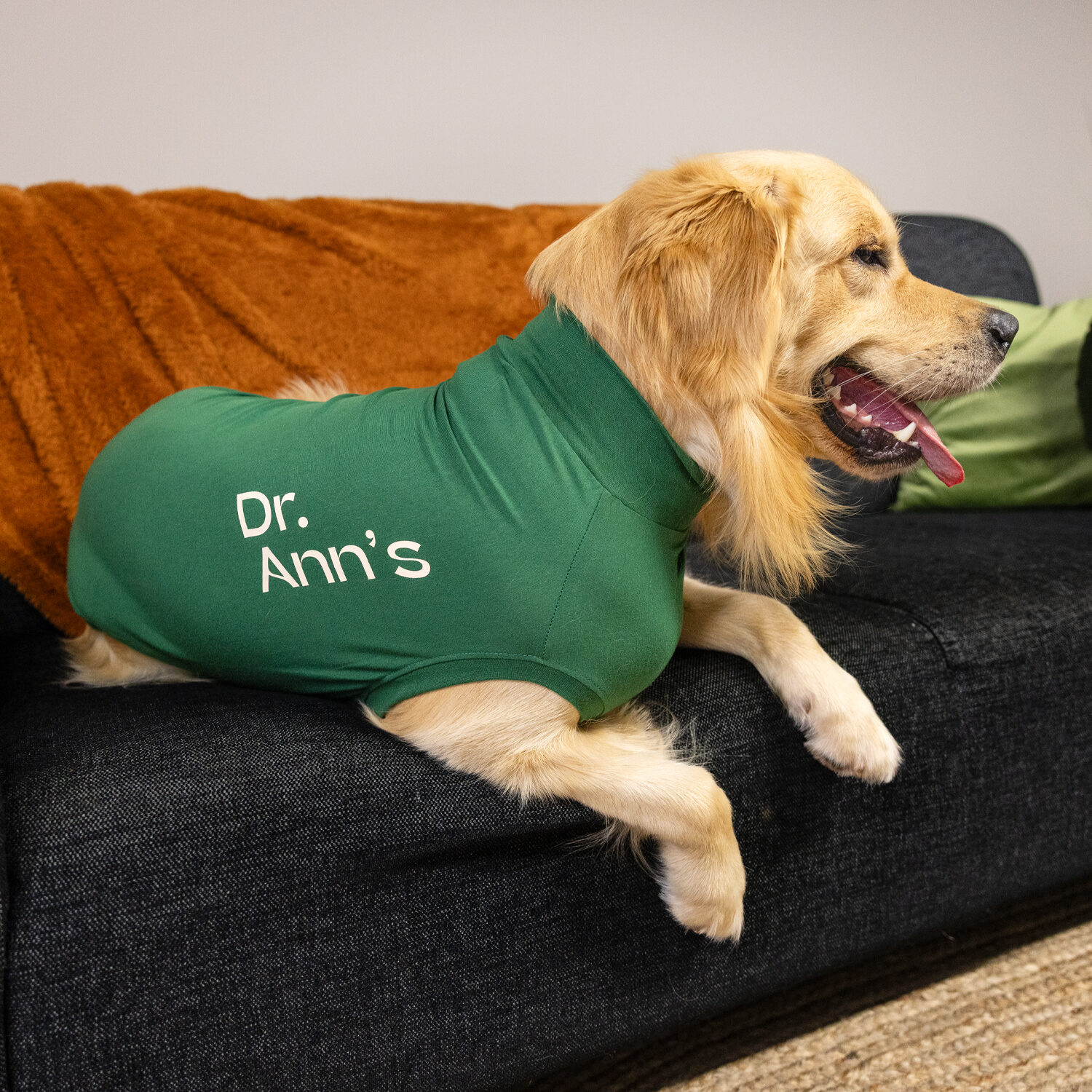Dr. Ann's Protective Shirt Hond