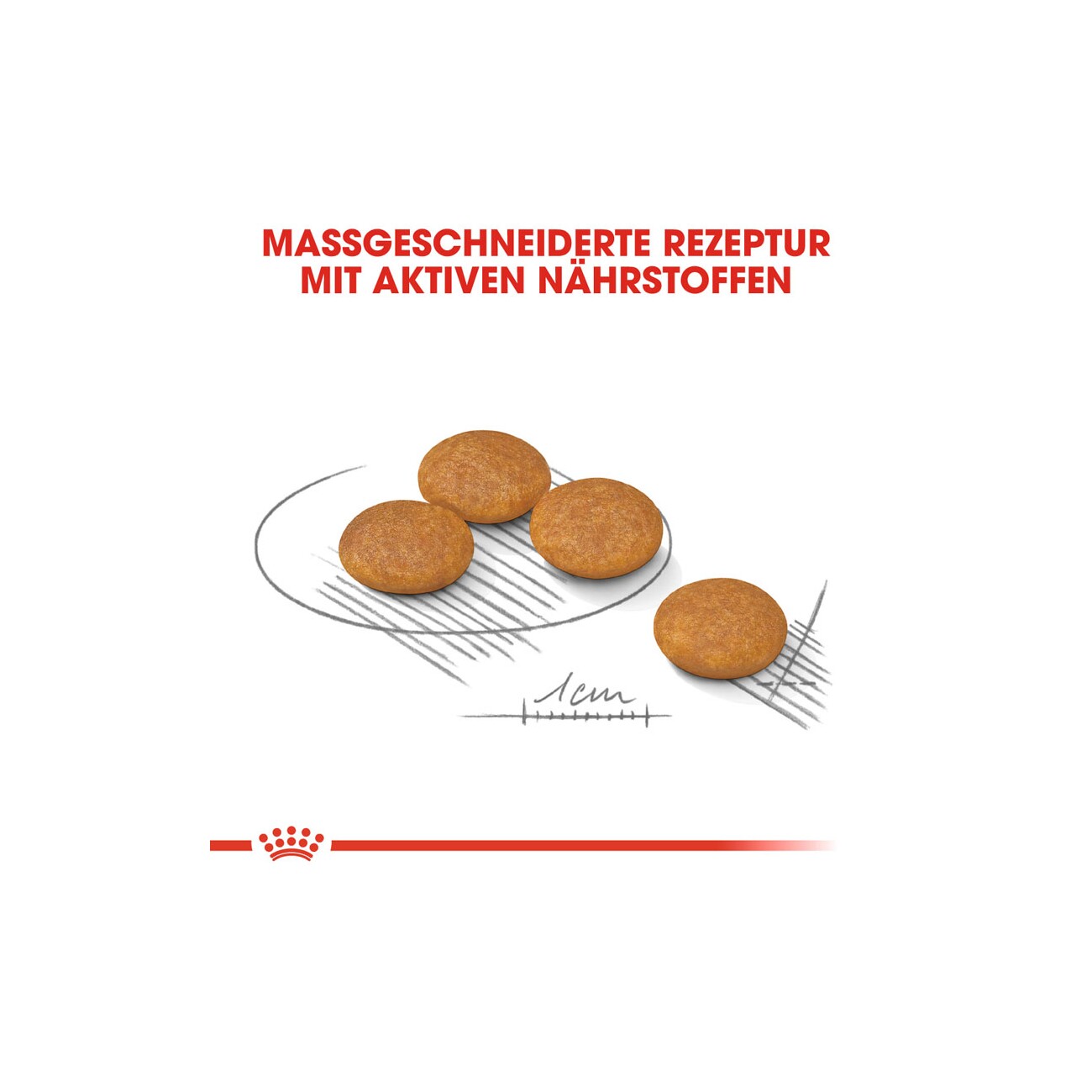 ROYAL CANIN Dermacomfort Mini 3 kg