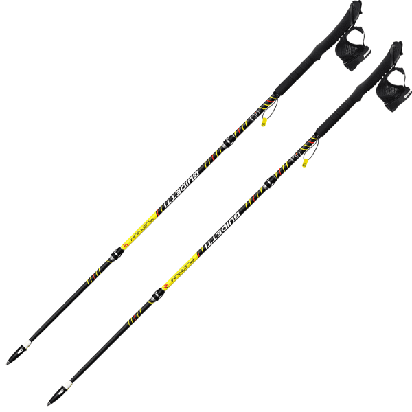 Bâton trail GUIDETTI PLATINIUM NEO PERF