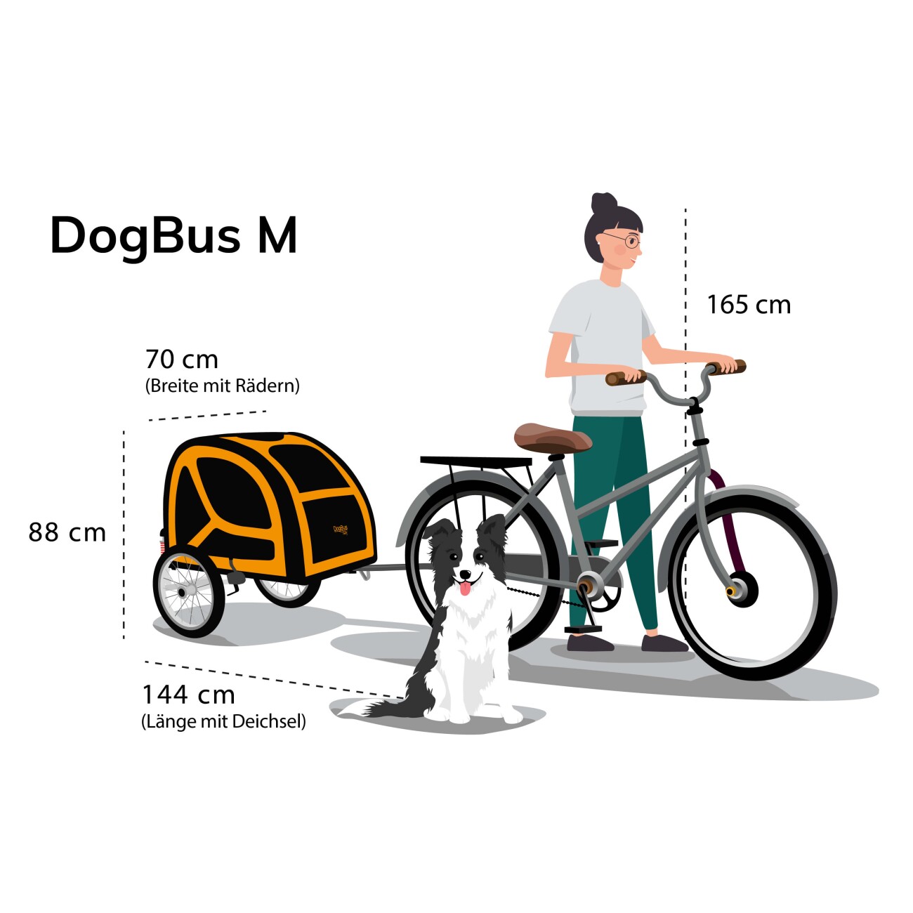 TrendPet DogBus gefederter Fahrradanhänger für Hunde