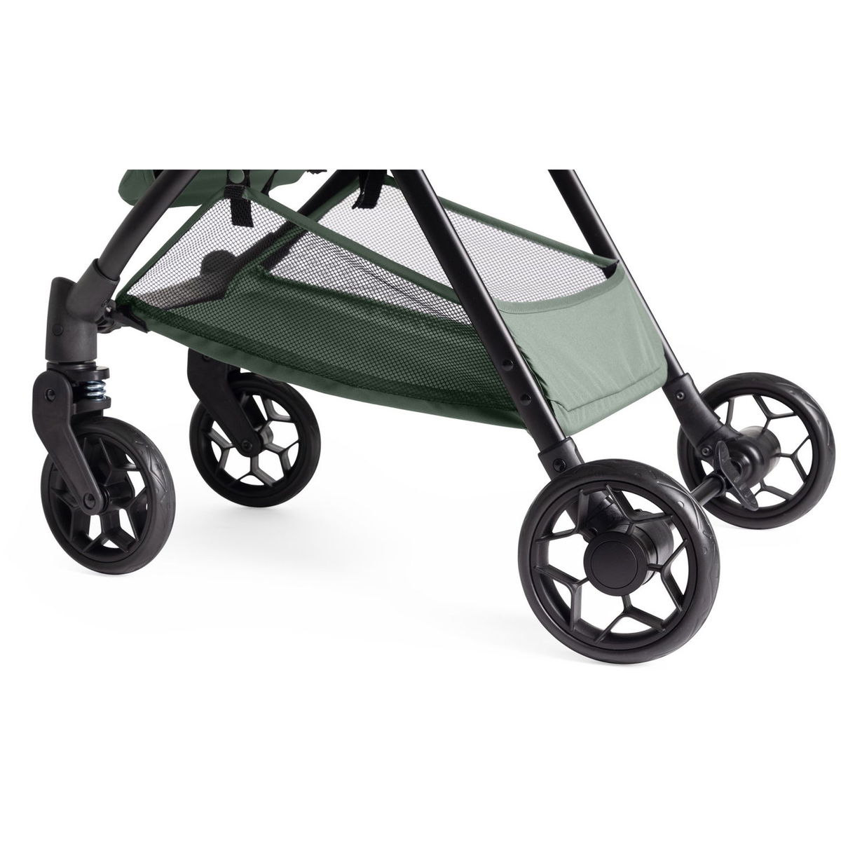 ChiccoChicco   Urbino evergreen