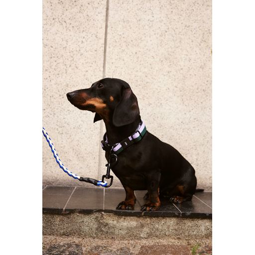 HAY Dog Braided Hundesnor, Blue/Off White