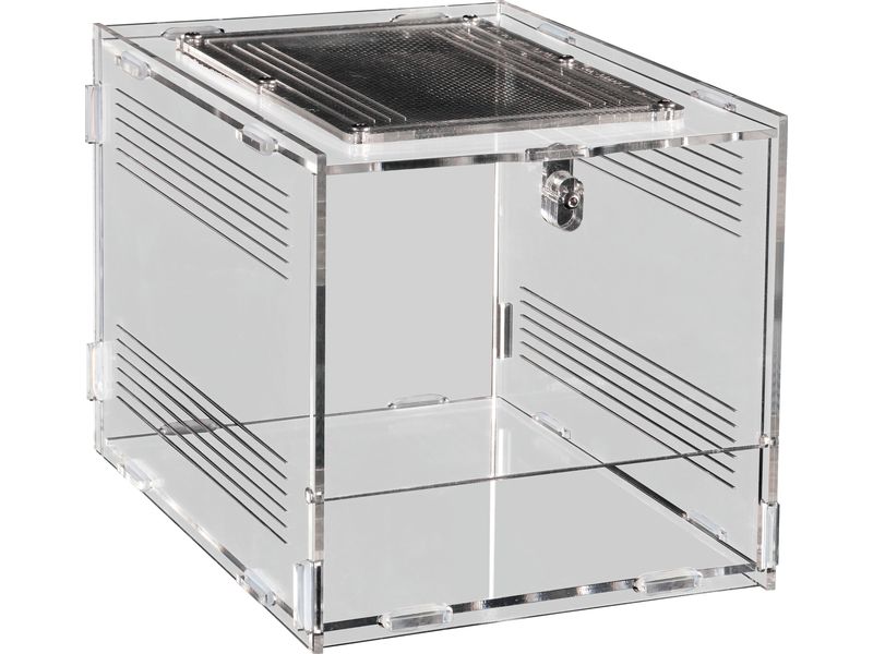 Repto Terrarium Plexi, 20 x 15 x 15 cm Terrarium für kleinere Terrarientiere