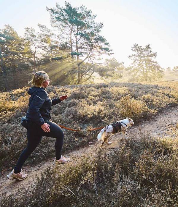 Non-stop dogwear Bauch-Laufgurt Trail light