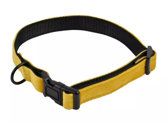 Collier pour Chien 