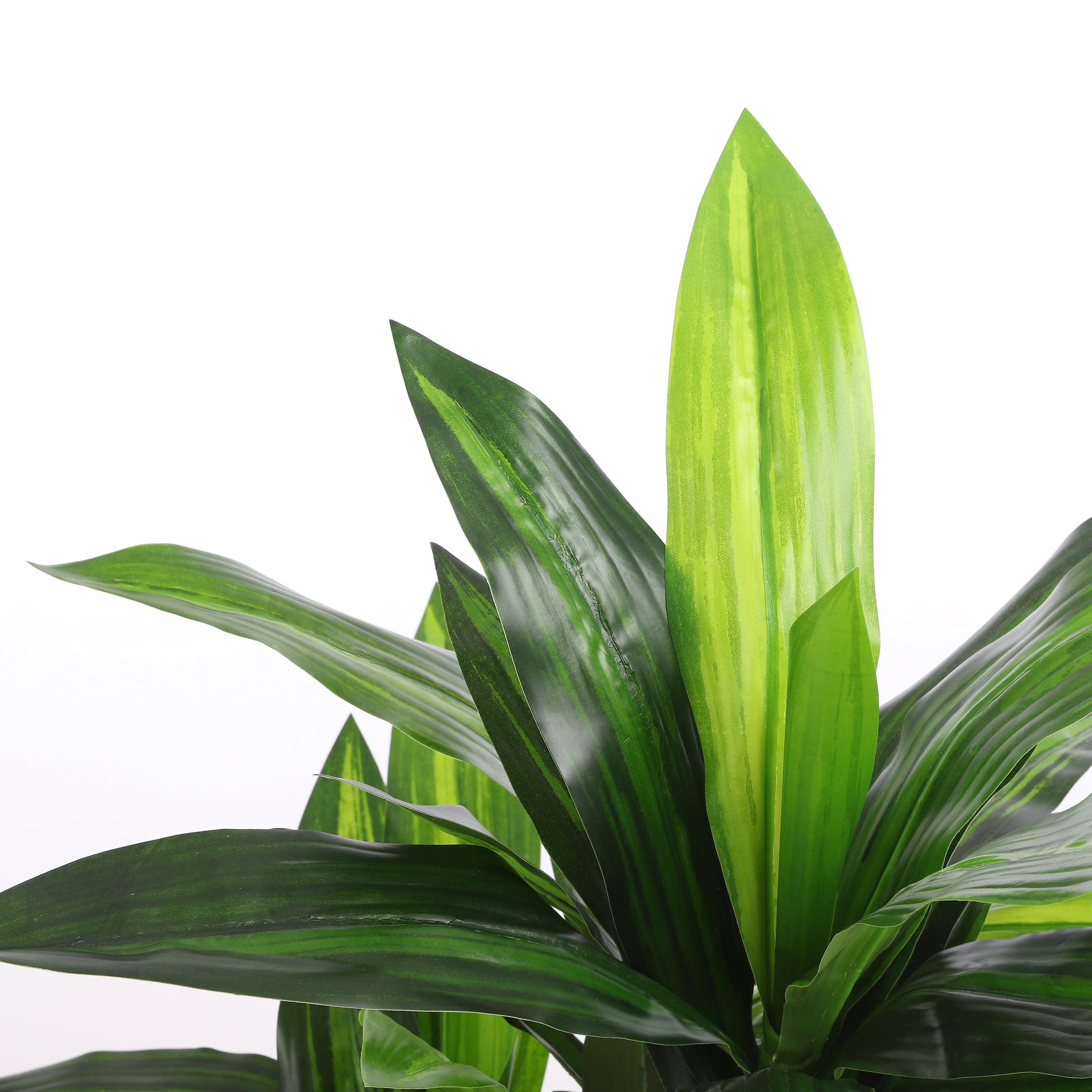 Mica Decorations Dracaena in pot groen - h110xd60cm