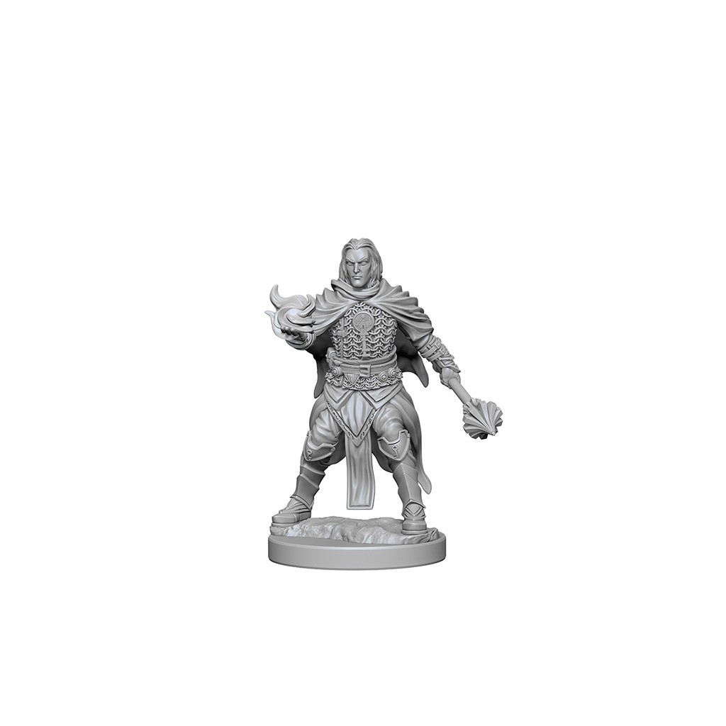 Pathfinder Deepcuts Unpainted Miniatures: Human Male Cleric