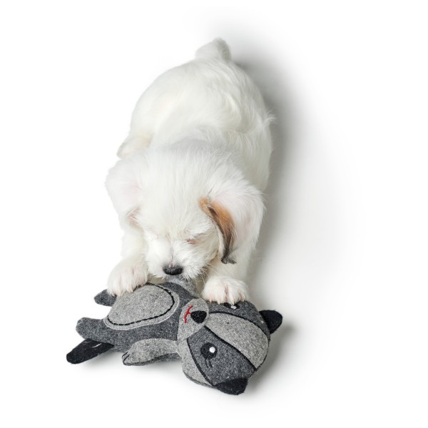 Hunter - Jouet pour chien blaireau Fyn - Accessoire pour chien