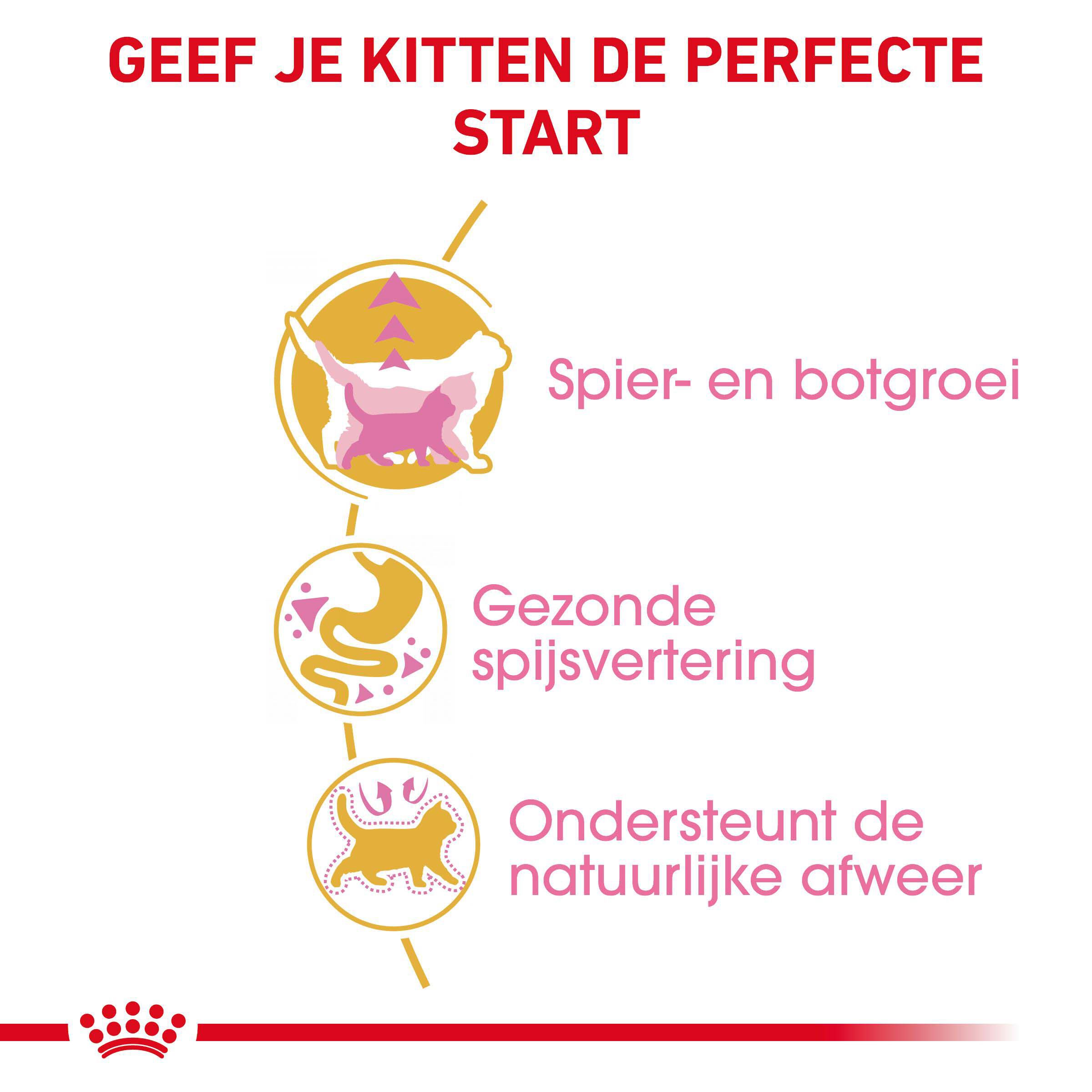 Royal Canin Britse Korthaar Kitten - Kattenvoer - 10 Kilogram - Gevogelte