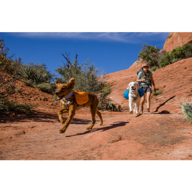 Sac à dos Approach Ruffwear