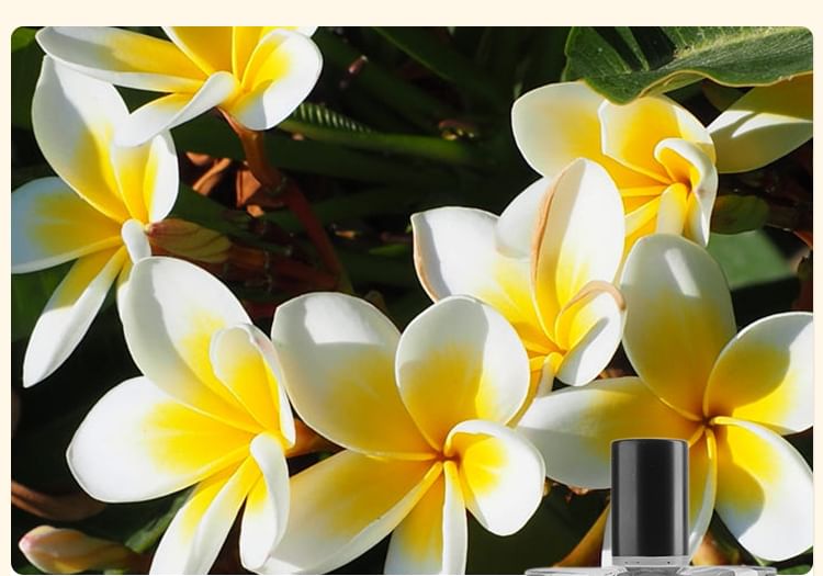 COLORROSE - Tiger Collection Parfum - CR575 Doomsday Aurora