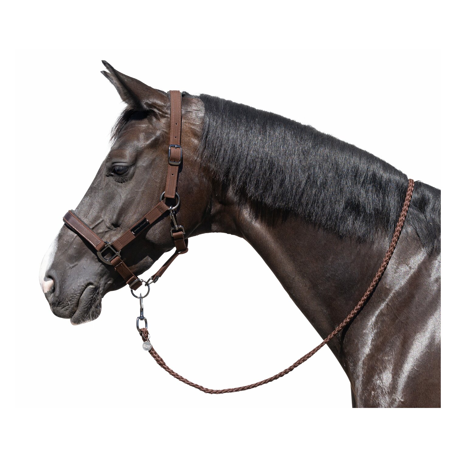 Cheval de Luxe Halfter Limoges  - chocolate - Vollblut