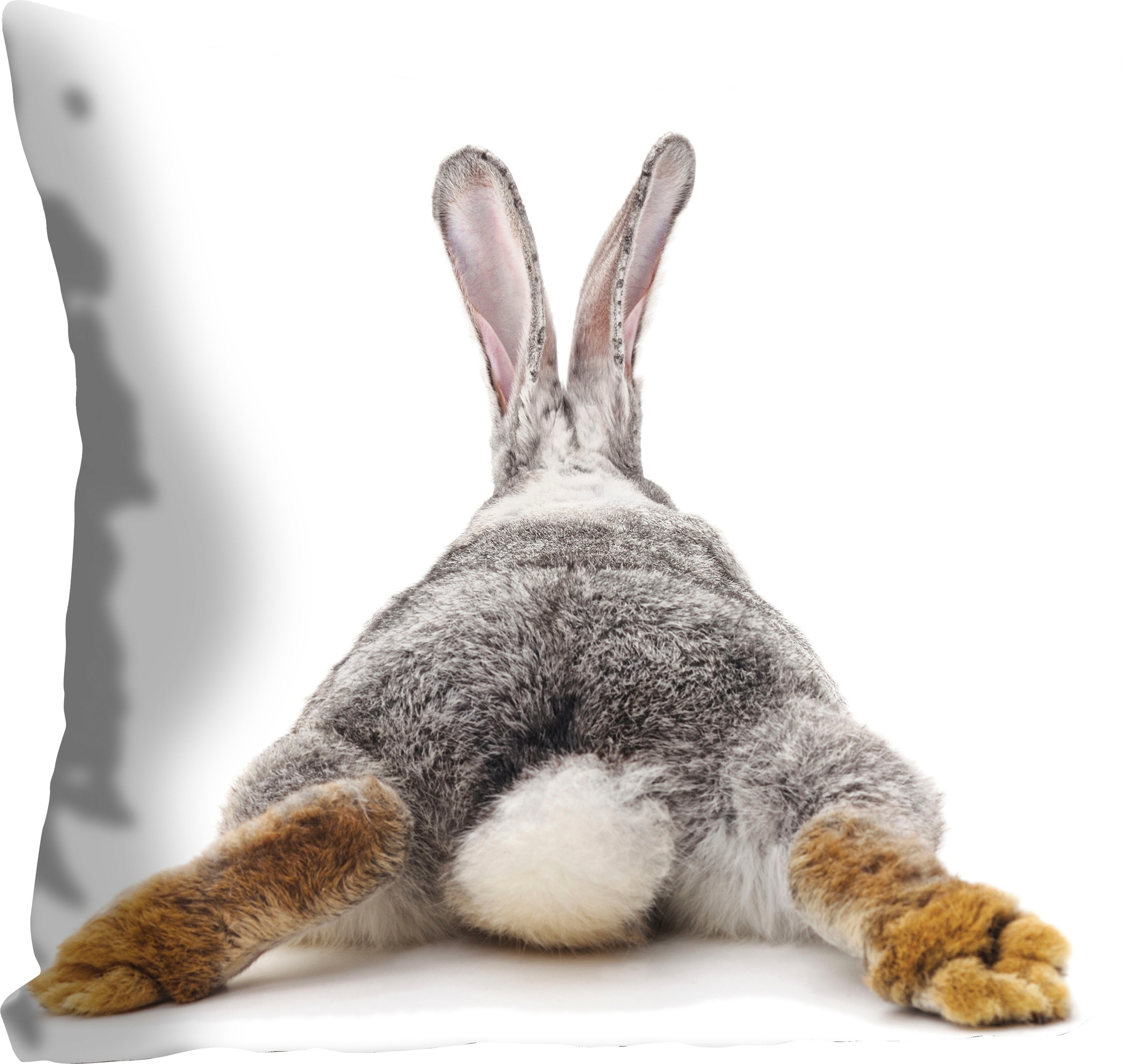 queence Dekokissen »Rabbit Tail« mit einem Hasenschwanz