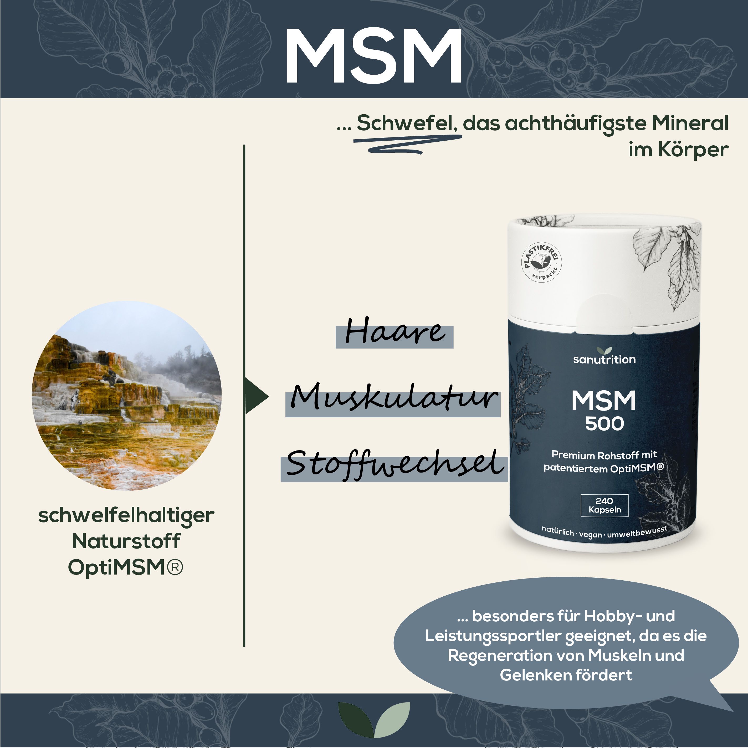 Sanutrition® - MSM 500 mg