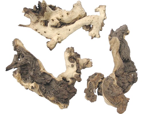 Aquariumdecoratie Mopani wortel nano