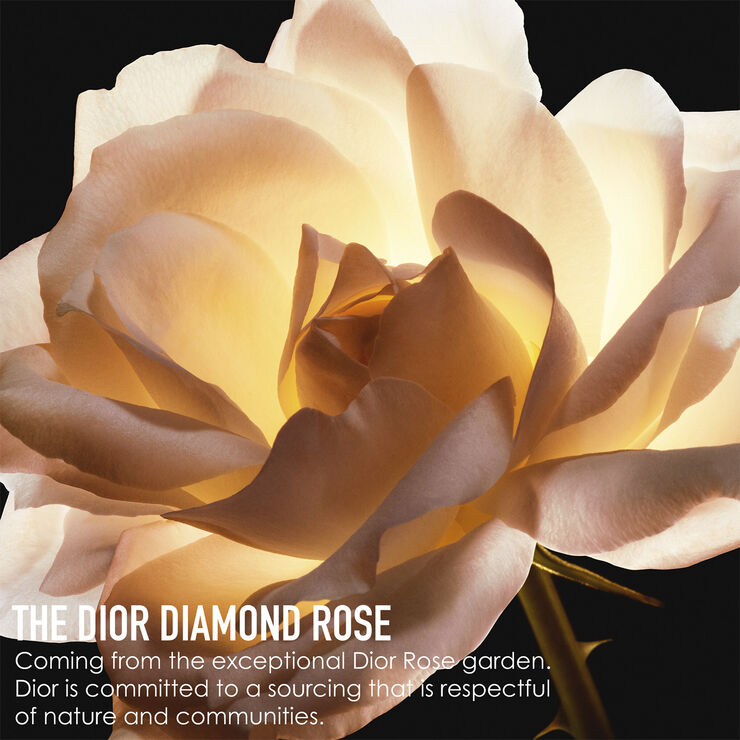 DIOR Prestige Micro-Huile De Rose Advanced Face Serum No color