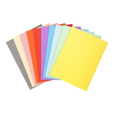 Exacompta Forever 180 - 50 Chemises - 170 gr - pour 200 feuilles - couleurs assorties