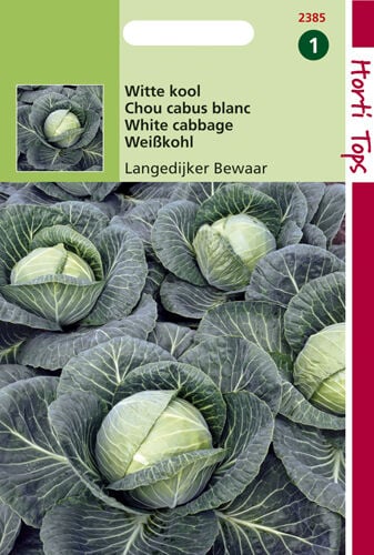 Hortitops Witte kool Brassica oleracea Langedijker Bewaar - Groentezaden