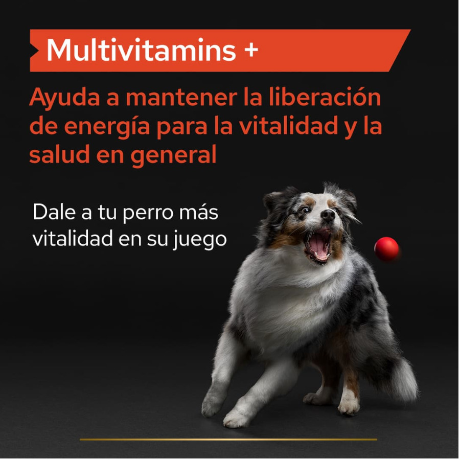 Suplemento multivitamínico Pro Plan para cães
