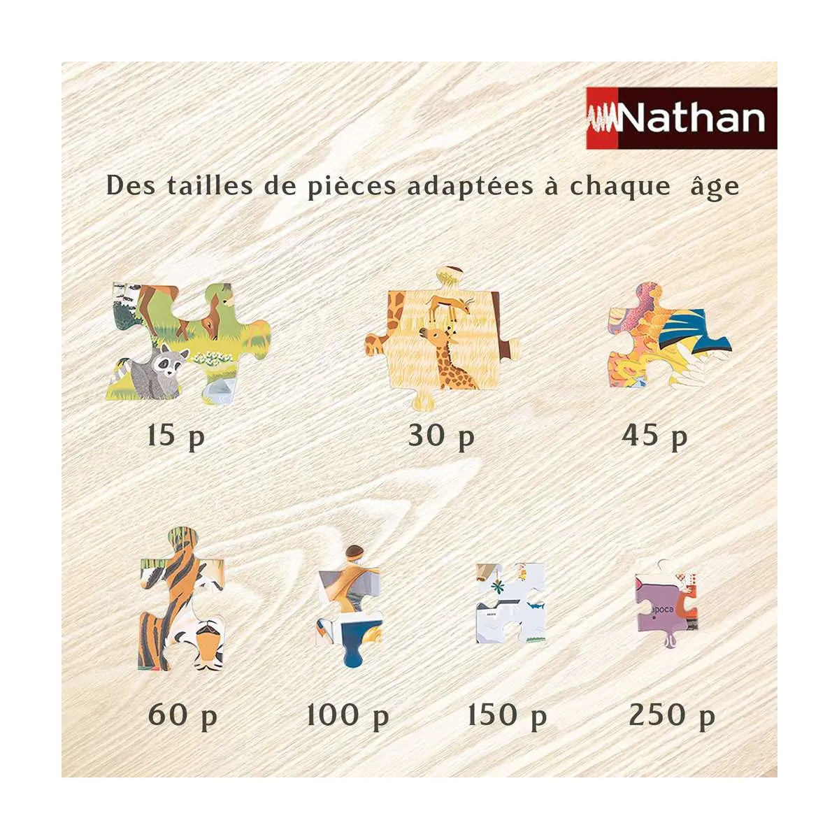 Nathan Editions Nathan Pat'Patrouille