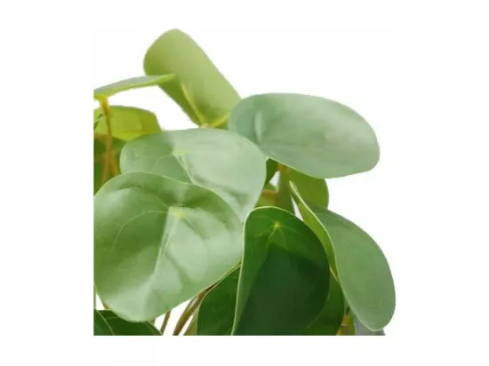 Pilea artificiel toucher naturel pot céramique