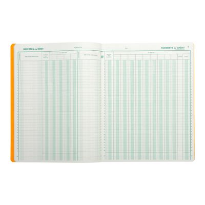 Exacompta - Journal de caisse ou banque - 13 colonnes : 9 débits/4 crédits - 32 x 25 cm vertical
