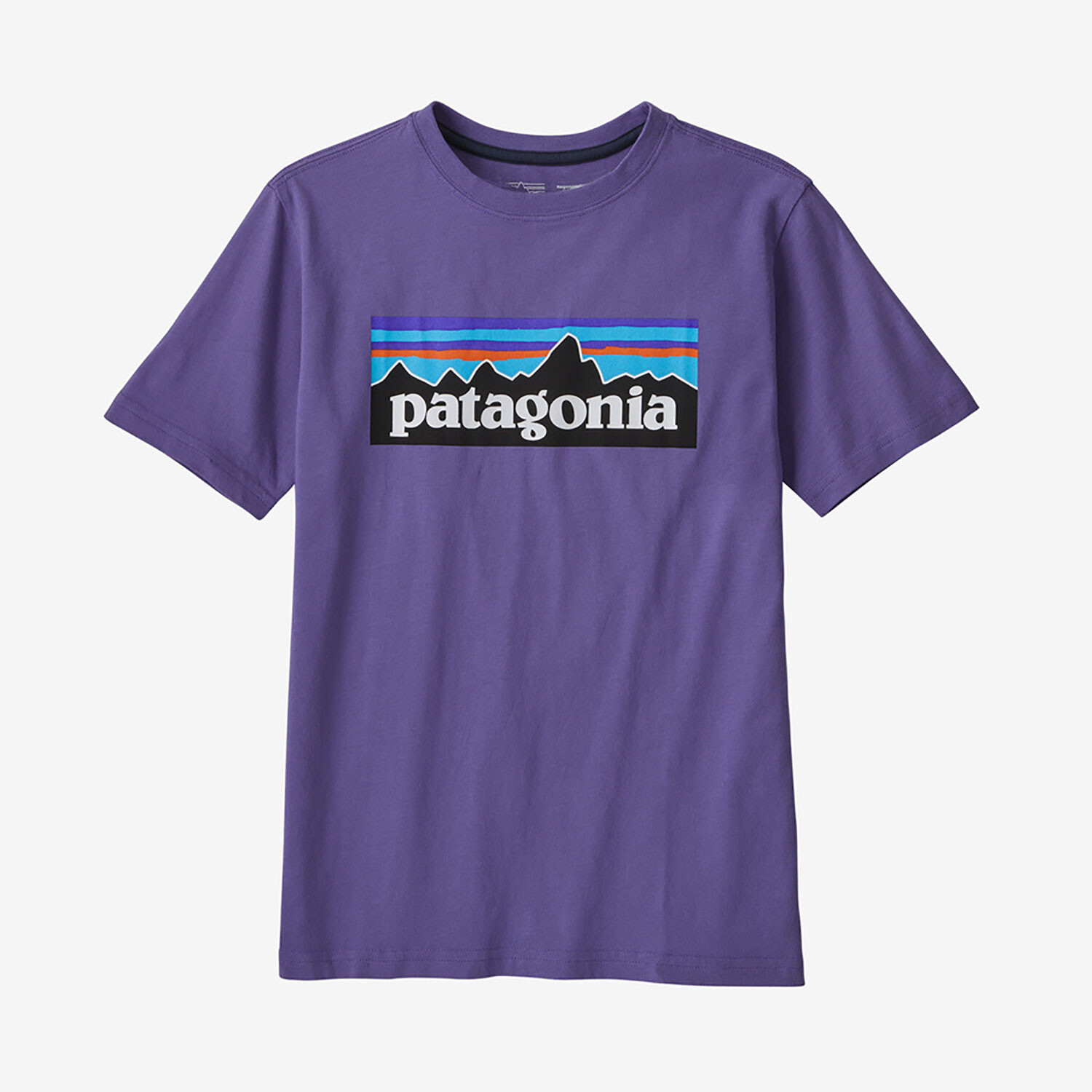 Patagonia Kids Regenerative Org Cotton P-6 Logo T