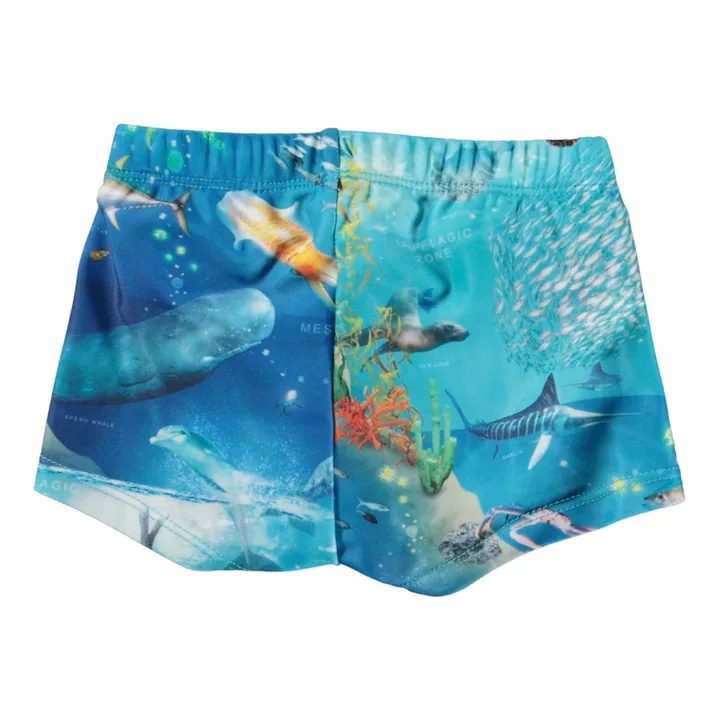 Molo Shorts de Bain Polyester Recyclé Nansen | Bleu