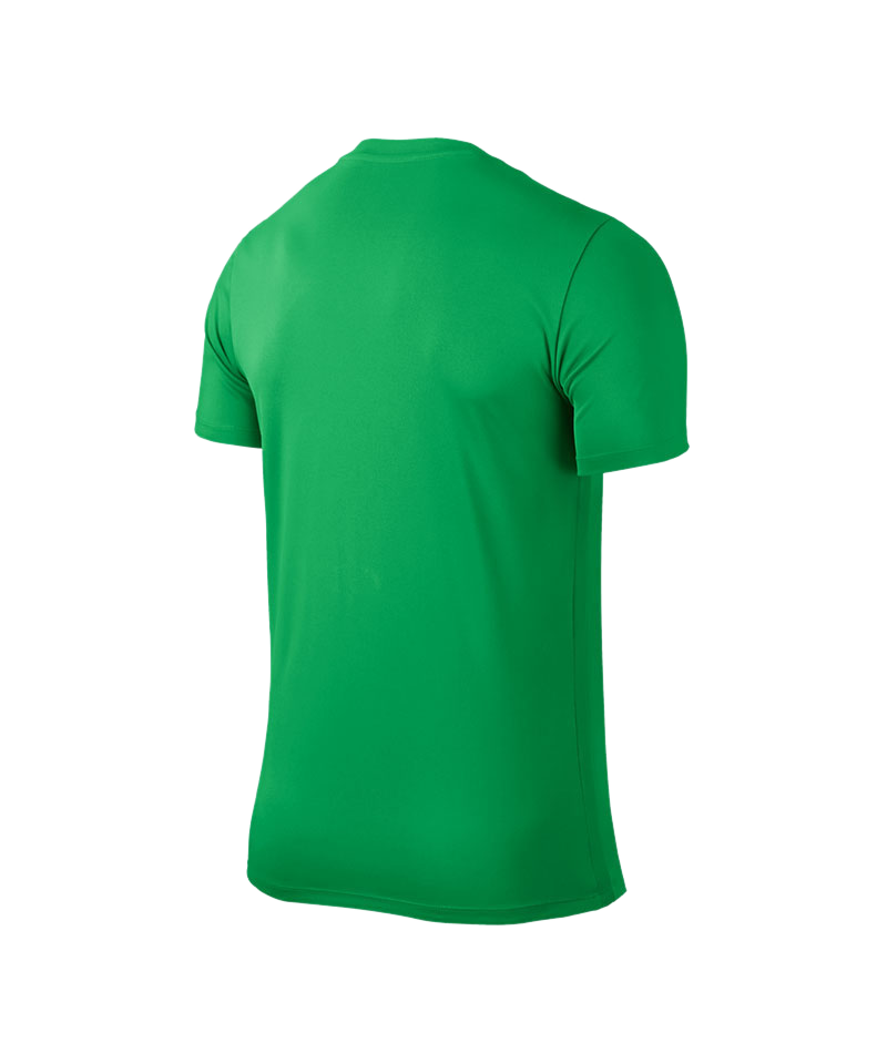 Nike Park VI Trikot kurzarm Hellgrün F303