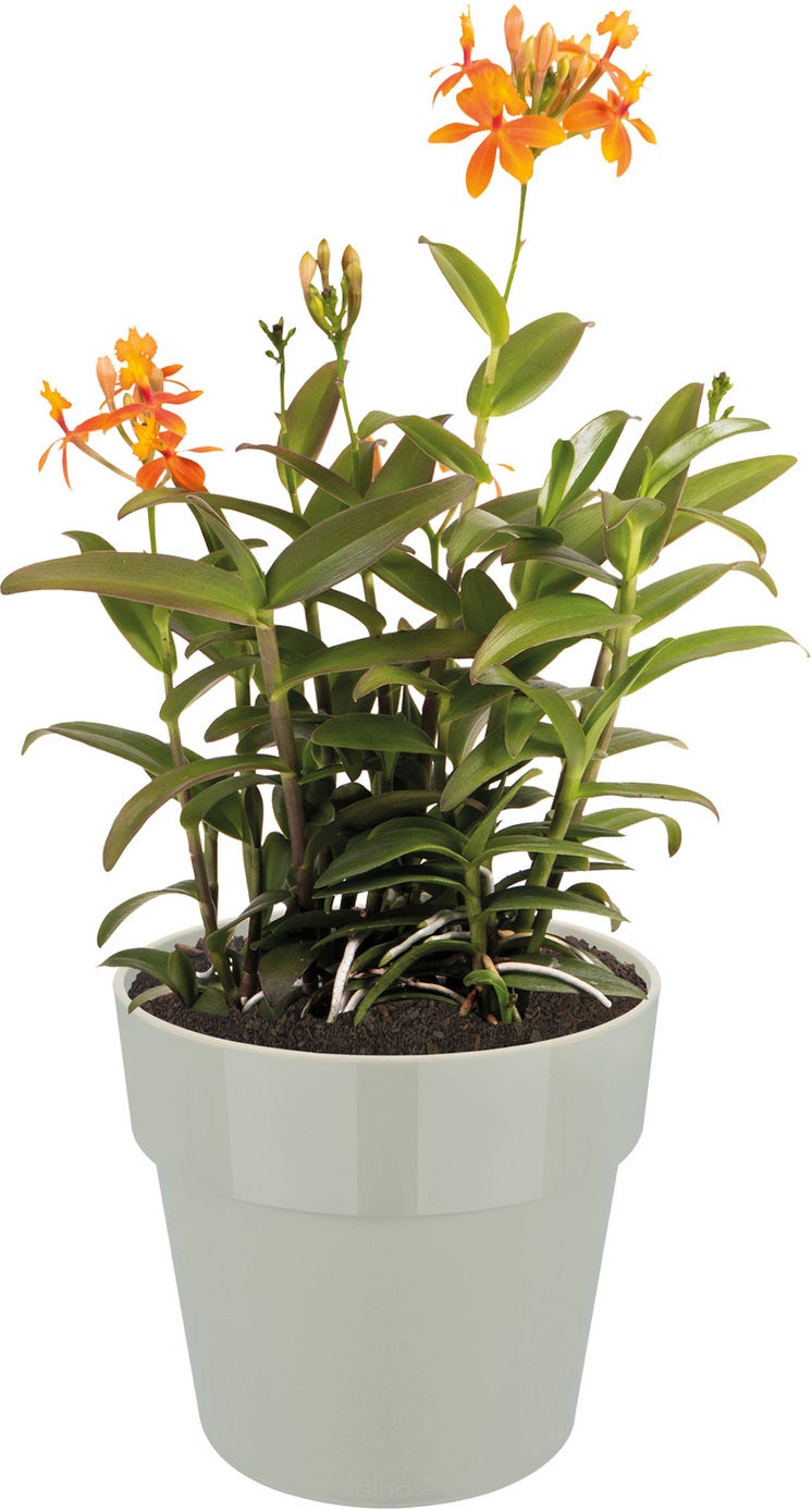 Elho bloempot B for original rond D 14 H 12,8 cm grijs