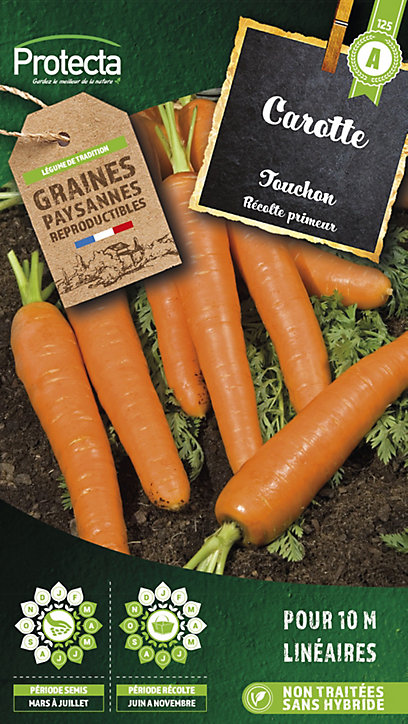 Graine de carotte touchon récolte primeur Protecta