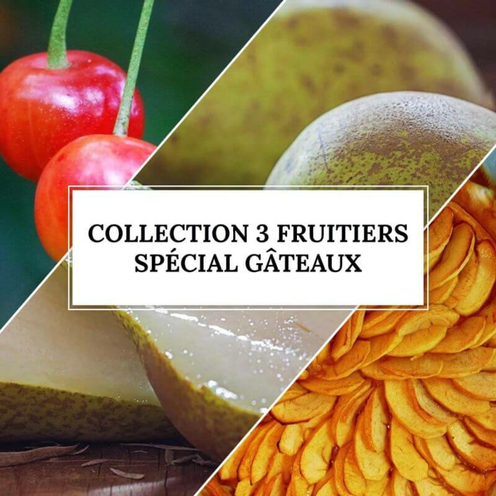 Collection 3 fruitiers spécial gâteaux - scion de 150cm